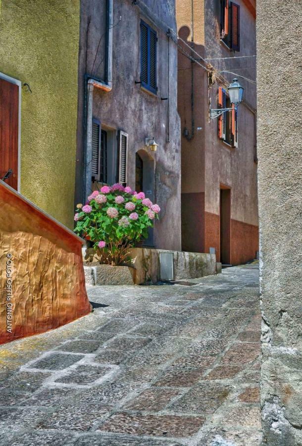 La Favola Di Dani Villa Castelsardo Exteriör bild